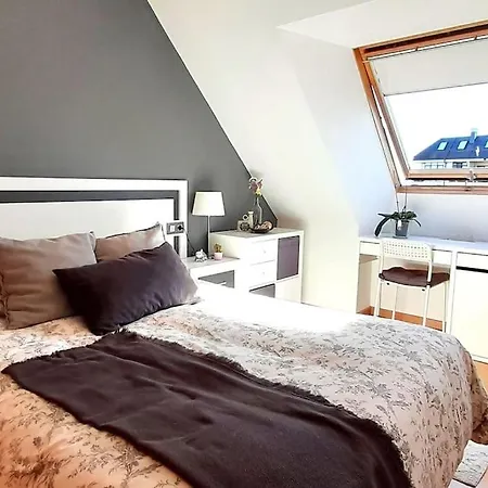 Duplex Deluxe. Terraza, Padel y Piscina Apartamento *